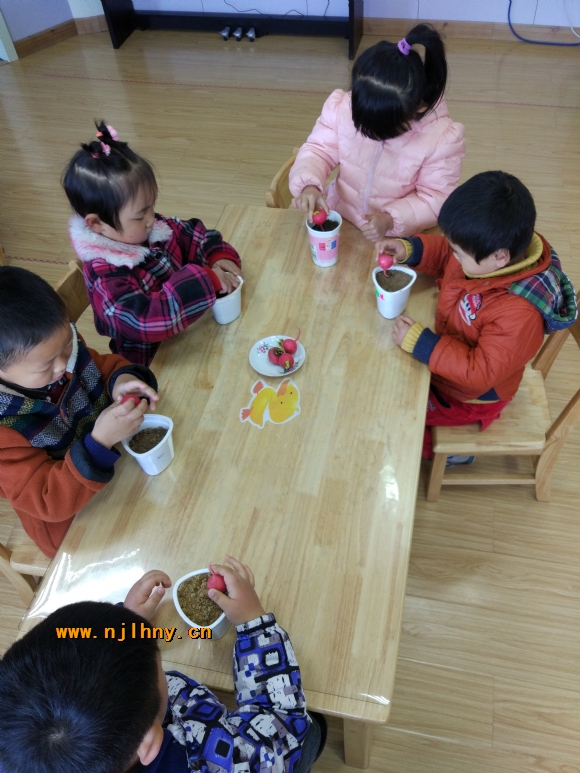 IMG_20170314_094546.jpg