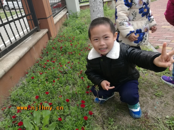 IMG_20170329_102942.jpg