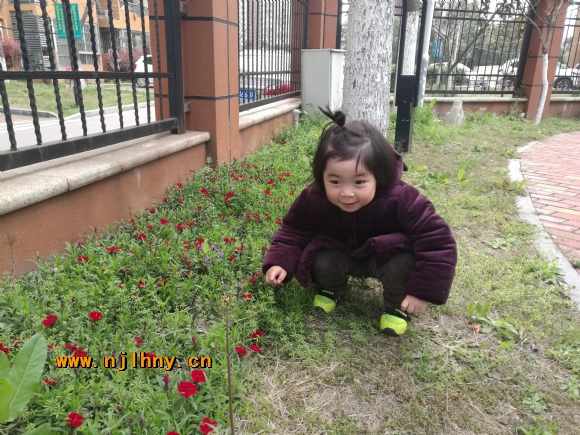 IMG_20170329_102918.jpg