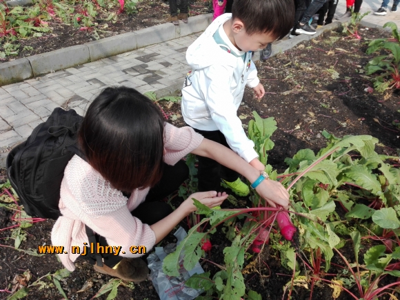 IMG_20171110_100126.jpg