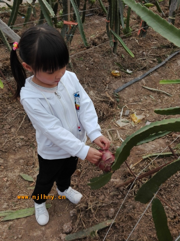 IMG_20171110_104602.jpg