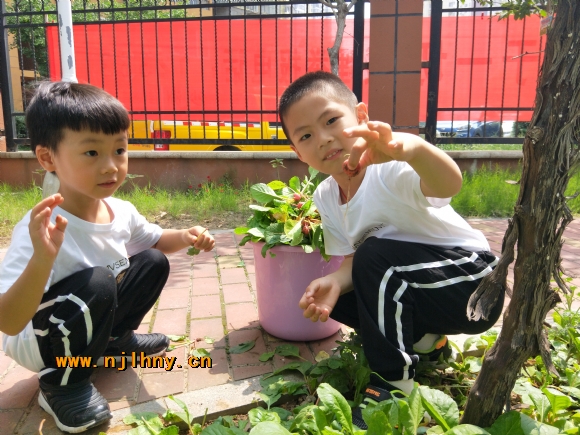IMG20180514101339.jpg