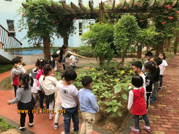 QQͼƬ20180524212044.jpg
