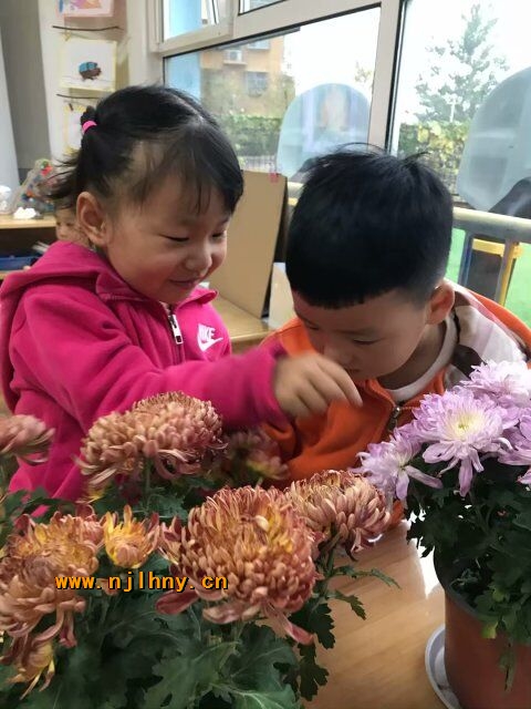 QQͼƬ20181107170052.jpg