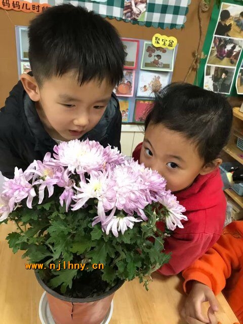 QQͼƬ20181107170046.jpg
