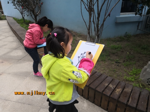 IMG_20190327_110635.jpg