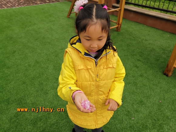 QQͼƬ20190329141538.jpg