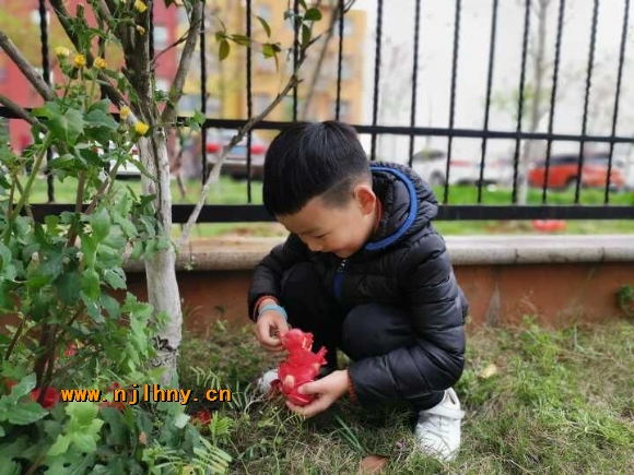 QQͼƬ20190329141544.jpg