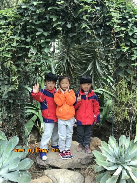QQͼƬ20190411185144.jpg
