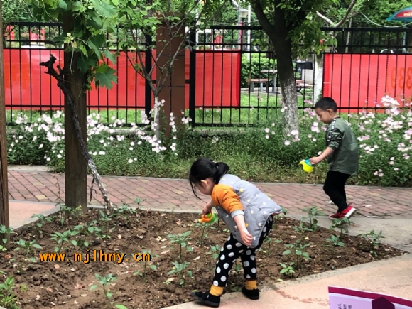 QQͼƬ20190426173616.jpg