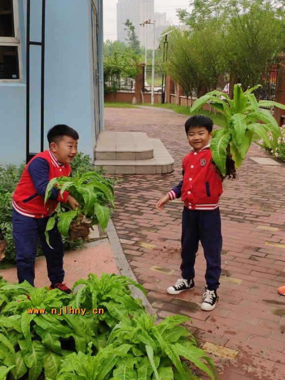 QQͼƬ20190428130045.jpg
