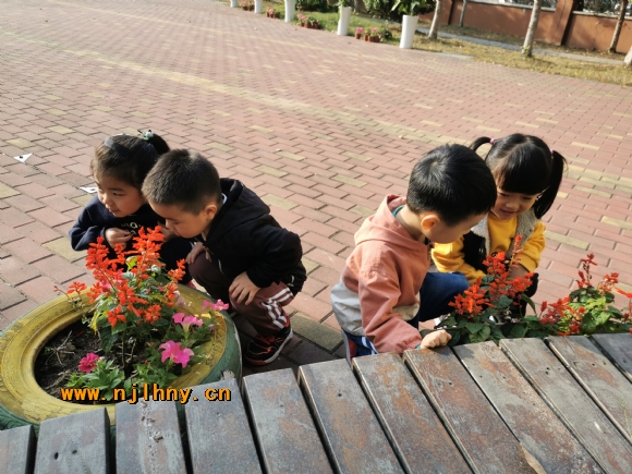 IMG_20191023_152423.jpg