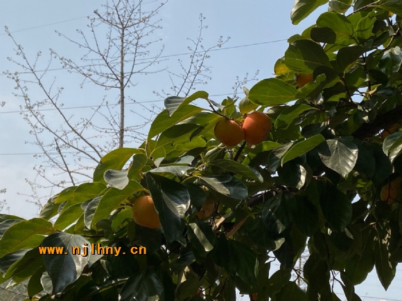 mmexport1571820045318.jpg