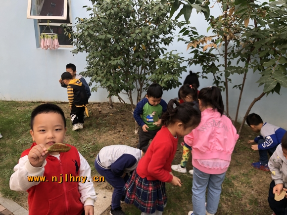IMG_4262.JPG
