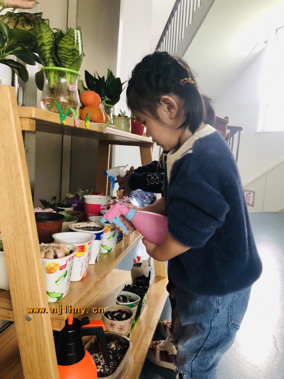 IMG_3829(20191104-102452).JPG