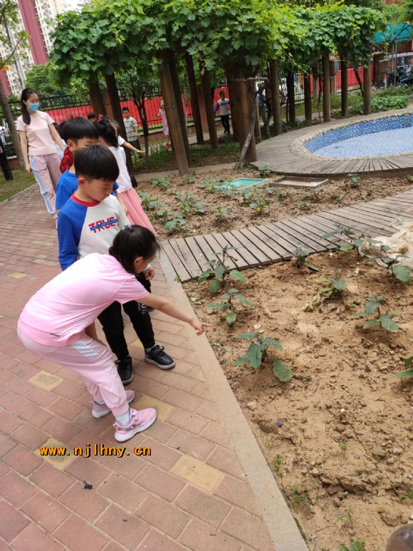 QQͼƬ20200526131632.jpg