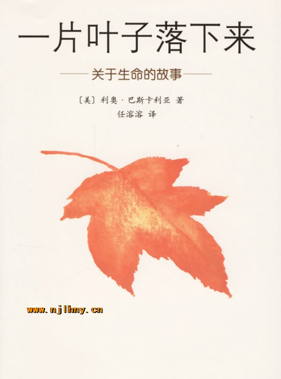 t01f7664c803946c1fc.jpg