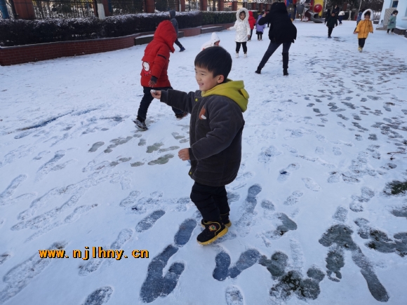 IMG_20201230_091901.jpg
