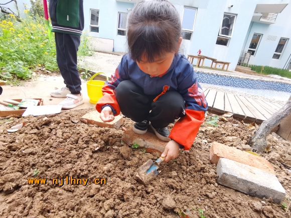BF7787400F0E0E1A7863A2519711FFDD.jpg