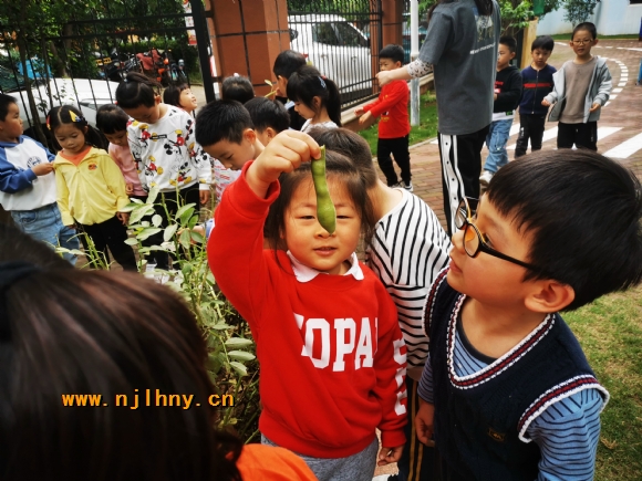 3..jpg