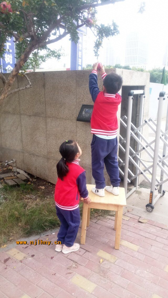 附件:QQ图片20181108163803.jpg 附件:QQ图片20181108163803.jpg