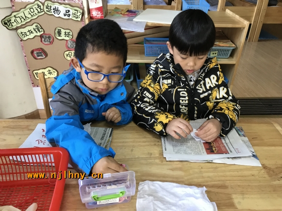 附件:IMG_5586.JPG 附件:IMG_5586.JPG